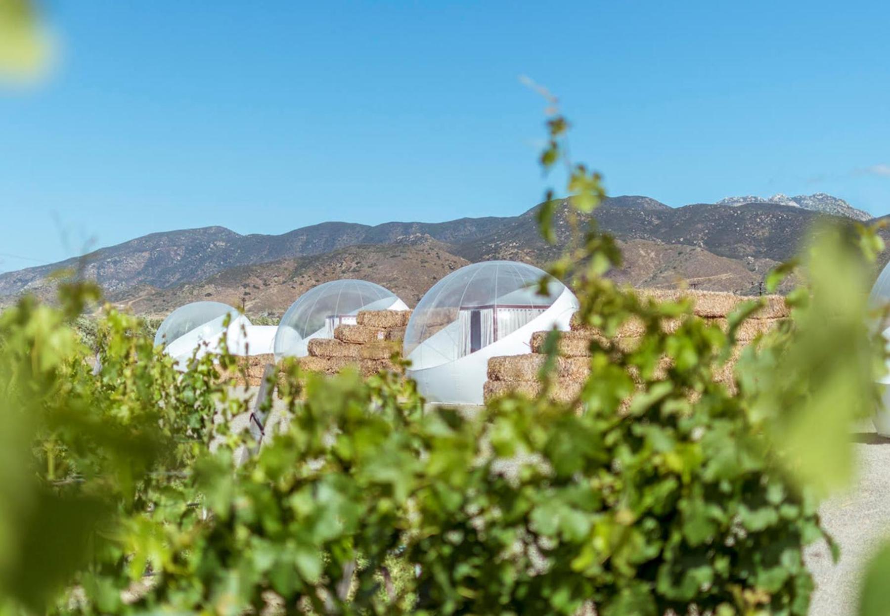 Campera Valle De Guadalupe Ensenada Exterior foto