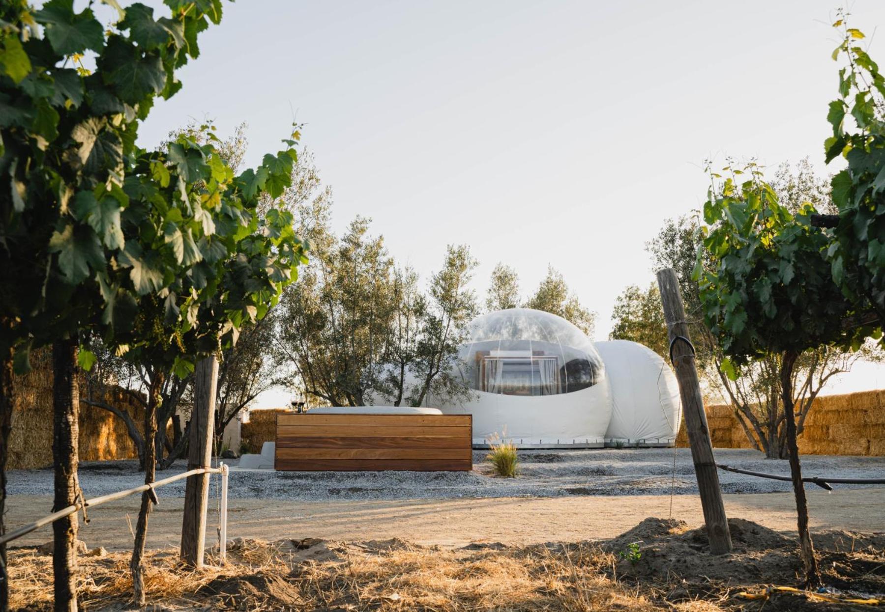 Campera Valle De Guadalupe Ensenada Exterior foto